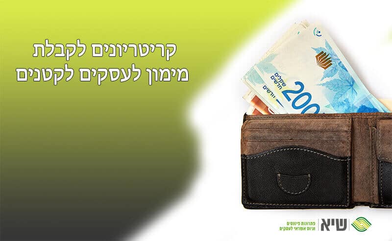 מימון לעסקים קטנים
